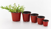 Flower Pots Supplier Produce Double Color Flower Pots for 25 Years It Application for Raise Plant